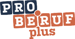 pro.beruf plus